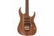 Електрогітара Ibanez RG6PKAG-NTF - фото 4