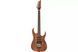 Електрогітара Ibanez RG6PKAG-NTF - фото 1