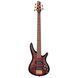 Бас-гитара IBANEZ SR305EDX WZM - фото 1
