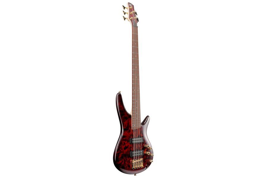 Бас-гитара IBANEZ SR305EDX WZM