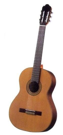 Классическая гитара Antonio Sanches S-1010 Spruce
