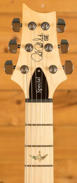 Электрогитара PRS SE Swamp Ash Special (Vintage Sunburst) с чехлом