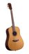 Акустическая гитара Prima DSAG219 Acoustic Guitar - фото 2