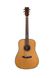 Акустическая гитара Prima DSAG219 Acoustic Guitar - фото 1