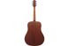 Электроакустическая гитара IBANEZ AAD50-LG - фото 2