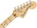 Електрогітара Fender American Performer Stratocaster HSS MN BK - фото 6