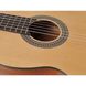 Классическая гитара Salvador Cortez CS-234 - фото 6