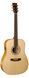 Акустическая гитара Simon&Patrick 033553 - Showcase Flame Maple A6T with DLX TRIC (Made in Canada) - фото 1