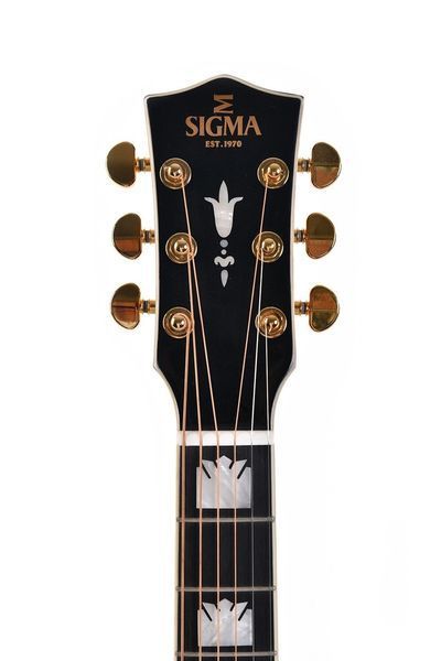 Акустическая гитара Sigma Custom SGJR-SG200 с мягким чехлом