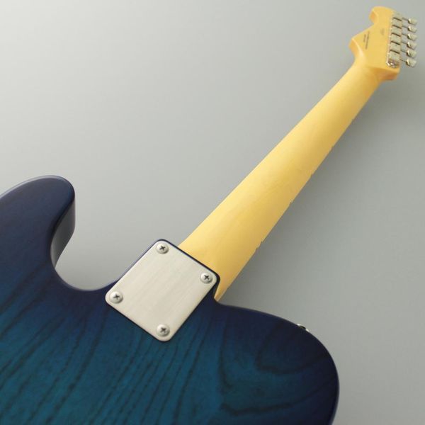 Электрогитара FGN NTE100MAH-SBB Neo Classic (See-Thru Blue Burst) с чехлом
