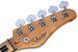 Бас-гітара Schecter Diamond-J 5 Plus AN - фото 5