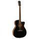 Электроакустическая гитара Fender PM-3CE Triple-O Mahogany Black Top LTD - фото 1
