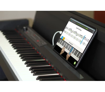 Цифровое пианино KORG LP-380-RWBK U