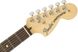 Електрогітара Fender American Performer Stratocaster RW Honey Burst - фото 4