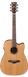 Електроакустична гітара Ibanez AW65ECE - фото 1