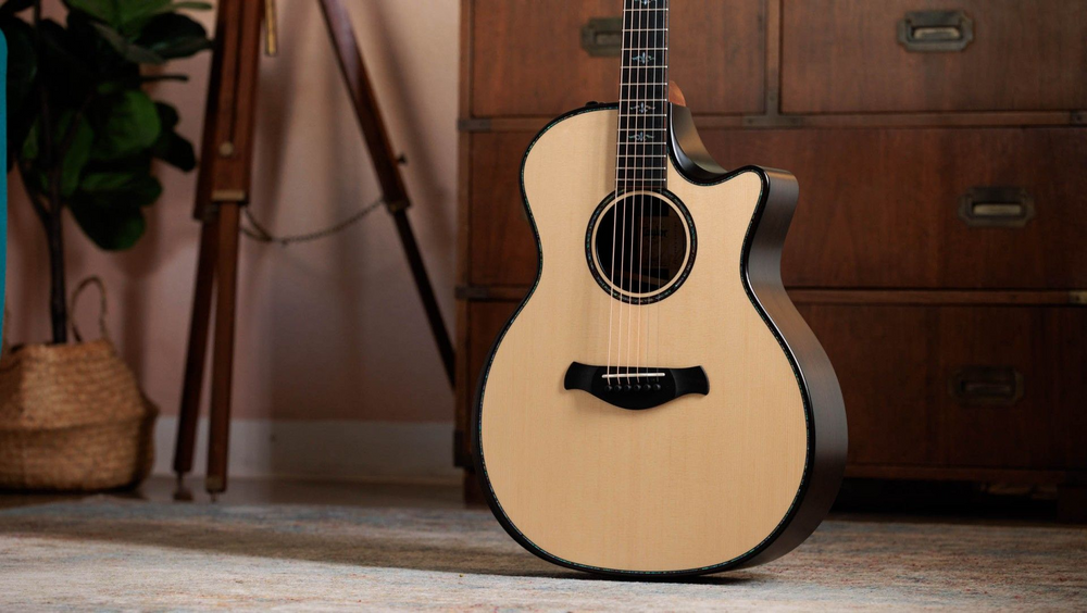 Електроакустична гітара Taylor Guitars 914ce Builders Edition
