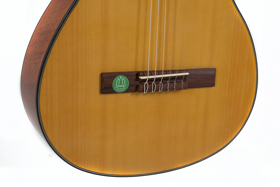 Класична гітара Gewa Student EU Solid Top 4/4 Natural
