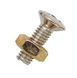 Гвинт з гайкою PAXPHIL PL3010 Les Paul Pickguard Screw - фото 1