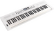 Синтезатор Roland GO:KEYS-5-WH - фото 1