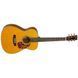 Електроакустична гітара Tanglewood TW40 D AN E - фото 3
