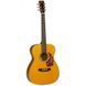 Електроакустична гітара Tanglewood TW40 D AN E - фото 1
