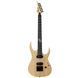 Электрогитара Solar Guitars AB2.6ET N Natural Matte - фото 1