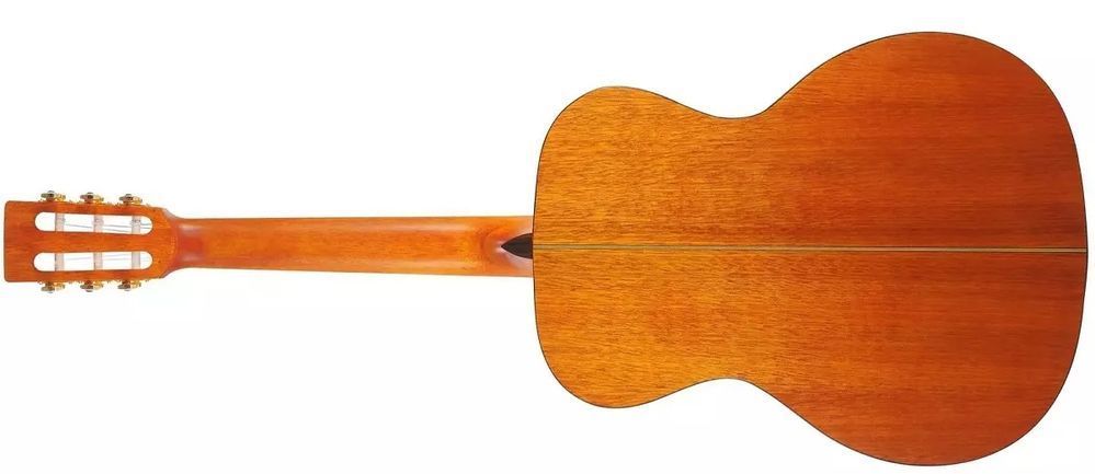 Класична гітара Valencia VA434VNA