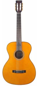 Классическая гитара Valencia VA434VNA