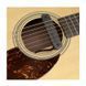 Звукосниматель Fishman PRO-NEO-D01 - фото 2