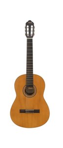 Классическая гитара Valencia VC201