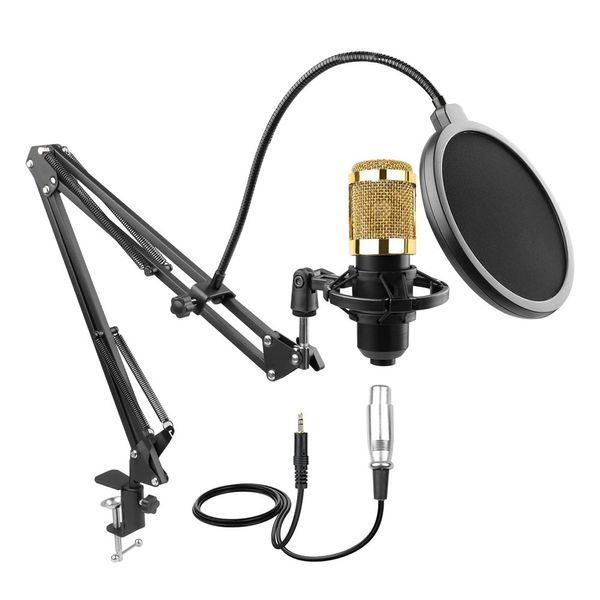 Мікрофон HL Audio BM-800