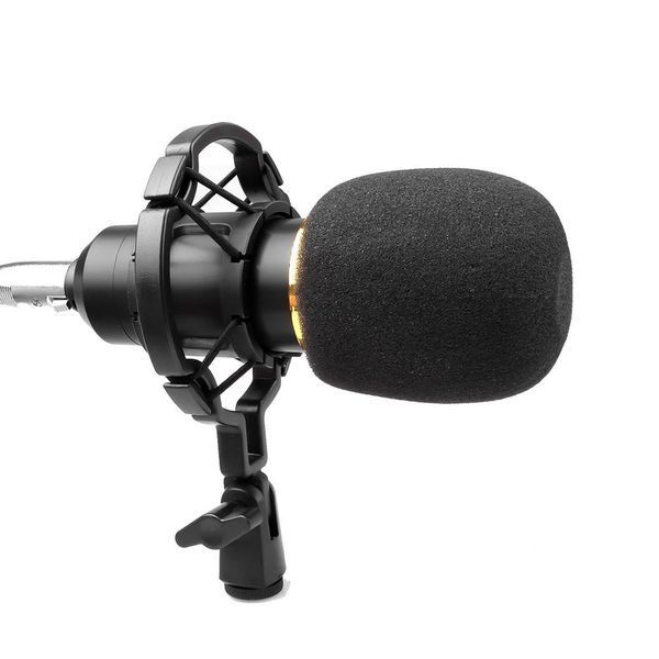 Мікрофон HL Audio BM-800