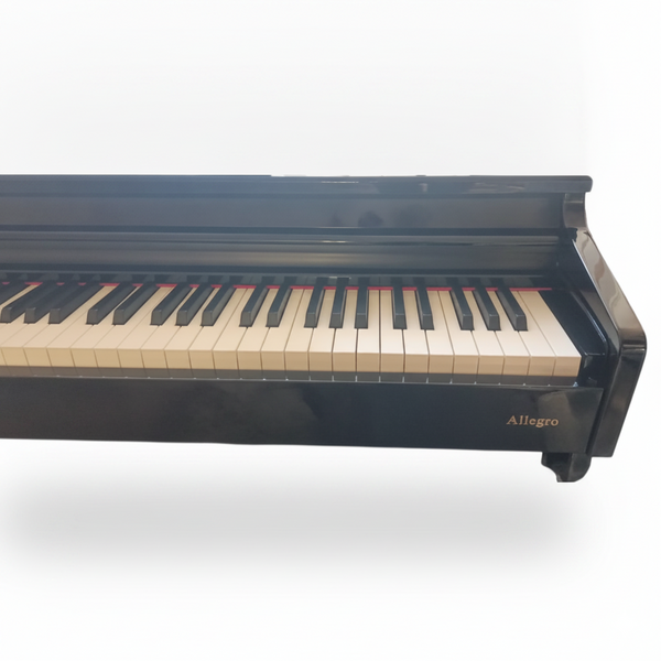 Цифрове піаніно Alfabeto Allegro (Polish Black)