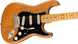 Електрогітара Fender American Pro II Stratocaster MN Roasted Pine - фото 3