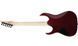 Электрогитара IBANEZ GRGR221PA AQB - фото 5