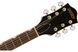 Гитара полуакустическая GRETSCH G2420 STREAMLINER HOLLOW BODY WITH CHROMATIC II TAILPIECE CADILAC GREEN - фото 7