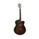 Електроакустична гітара Tanglewood TWCR-SFCE - фото 1