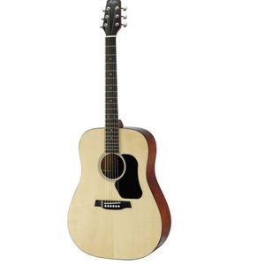 Гітара акустична Hawthorne HD220/B