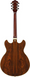 Полуакустическая гитара Ibanez AS93BC BK - фото 2