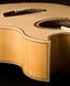 Электроакустическая гитара Washburn EA20 - фото 3