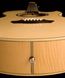 Електроакустична гітара Washburn EA20 - фото 2