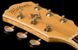 Электроакустическая гитара Washburn EA20 - фото 4