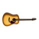 Электроакустическая гитара с подключением Seagull 036288 - Coastline S6 Creme Brulee SG QI - фото 1