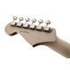 Електрогітара Fender Eric Clapton Stratocaster Black - фото 7