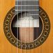 Классическая гитара Alhambra Luthier India Montcabrer с чехлом - фото 4