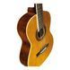 Классическая гитара Eko Guitars CS10-NAT (Natural) - фото 4