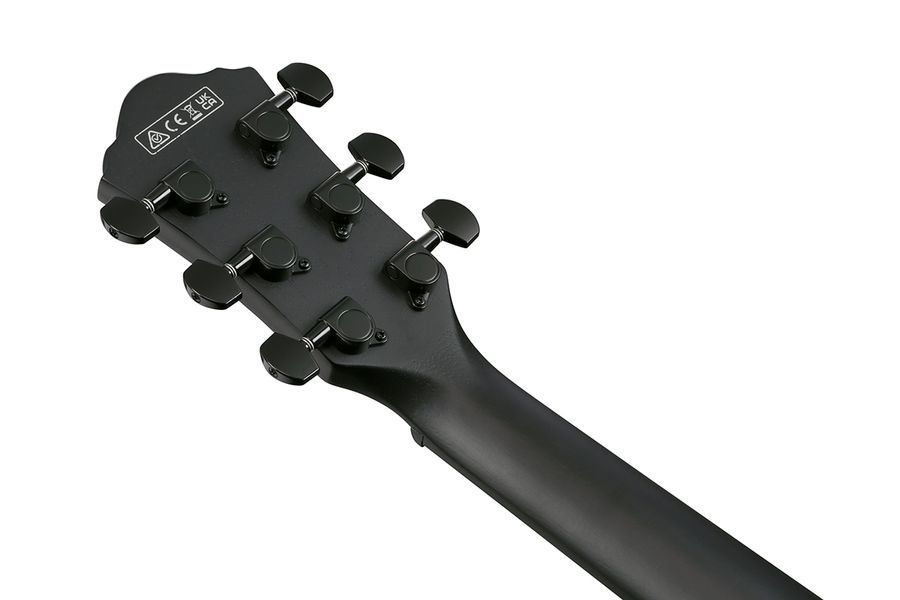 Электроакустическая гитара IBANEZ AEWC621 BOT
