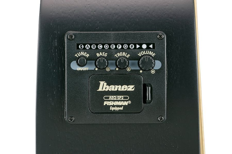 Электроакустическая гитара IBANEZ AEWC621 BOT