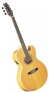 Электроакустическая гитара Washburn EA20 SDL
