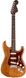 Електрогітара Fender American Professional Strat LTD Roasted Ash Rosewood Neck - фото 1